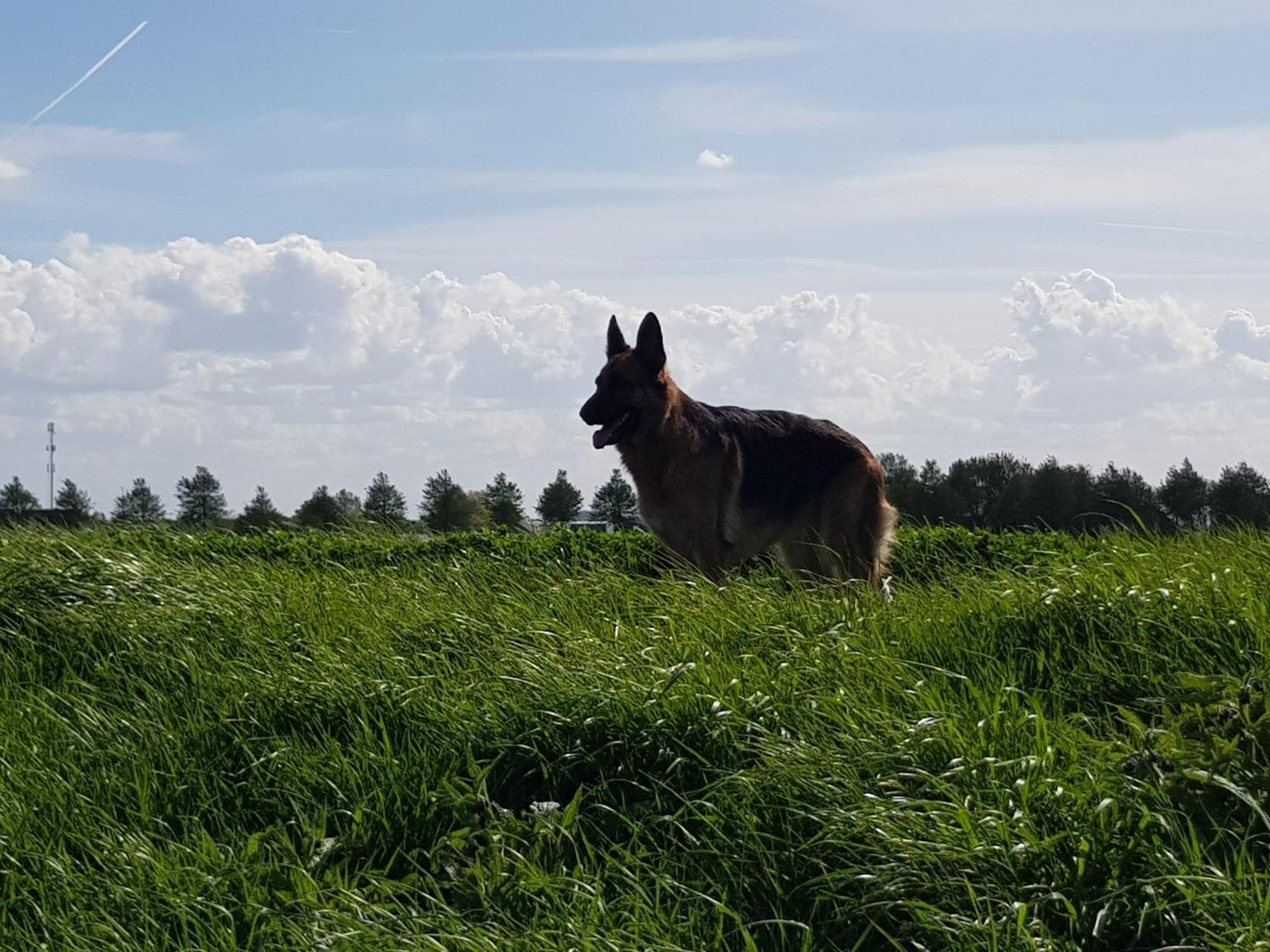 Vakantiehuis In Zeeland Sint Annaland Kültér fotó